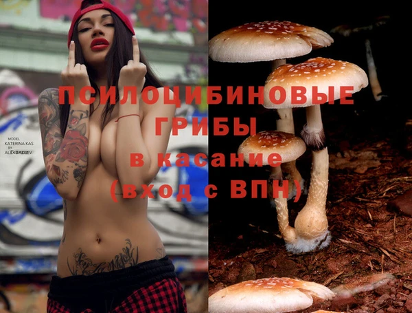 прущая мука Верхний Тагил